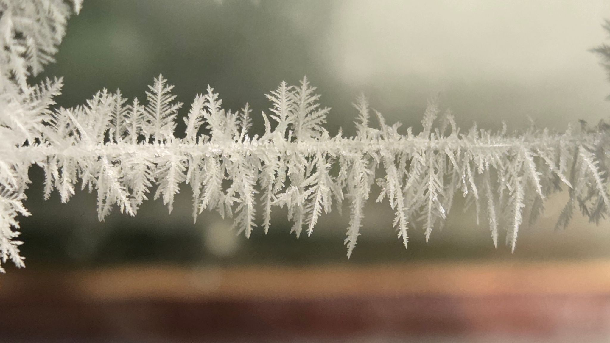Dendritic structures closeup