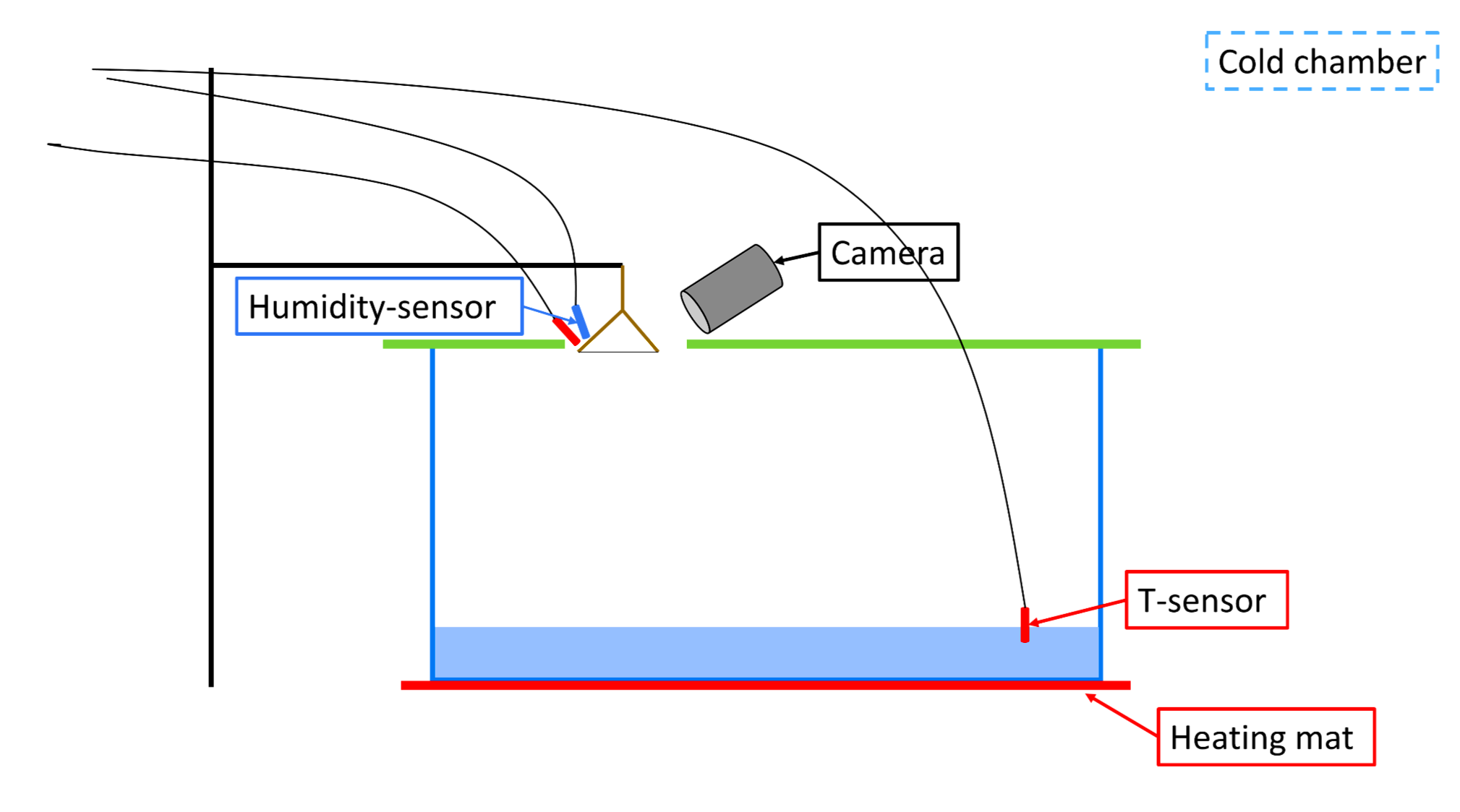 Johannes Gutenberg University of Mainz