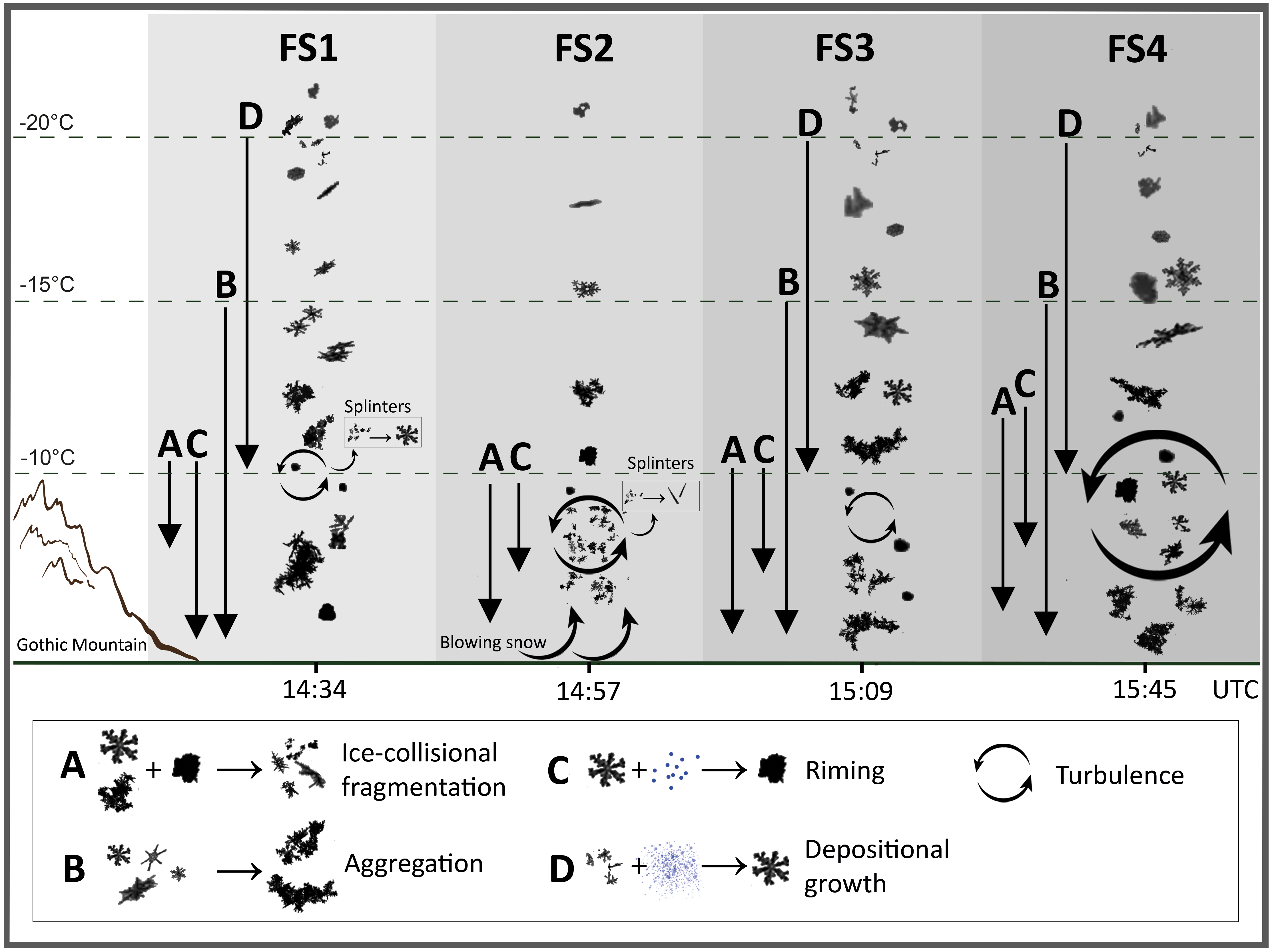Dominating microphysical processes during analysed fall streaks.